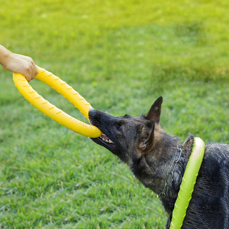 The Ultimate Pet Dog Training Toy Pull Ring